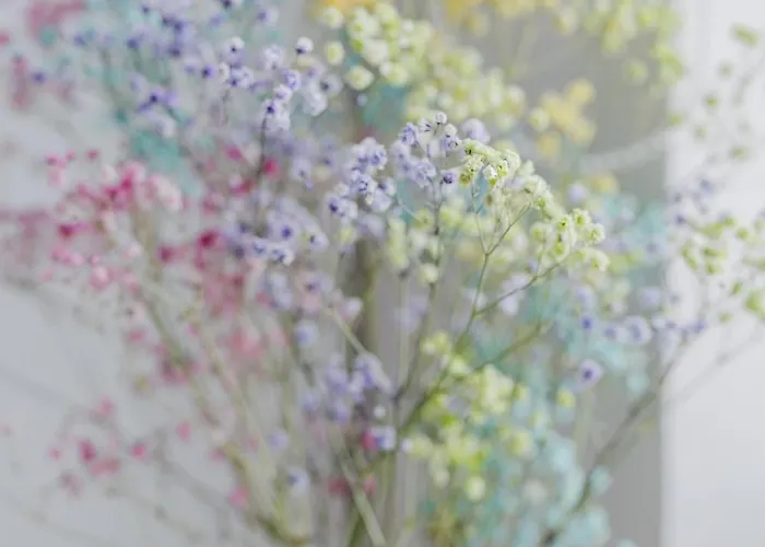 Silver By Kramm - W Hotelowym Wydaniu 4* Poznań